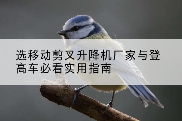万载电动升降机厂家-选移动剪叉升降机厂家与登高车必看实用指南