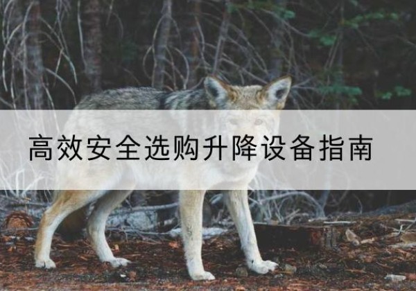 万载升降货梯厂家推荐-*安全选购升降设备指南